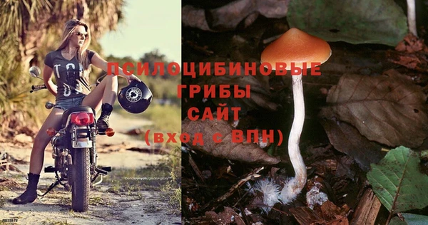 винт Абинск