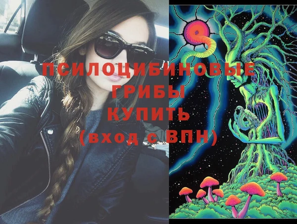 винт Абинск