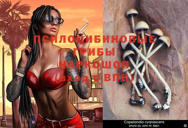 каннабис Абаза