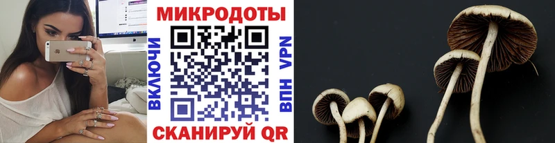 мориарти Telegram  Чкаловск  Псилоцибиновые грибы прущие грибы 